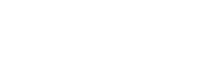 Foundation Fighting Blindness